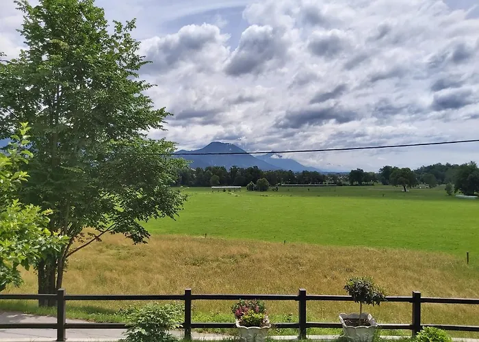 Apartma Arnez