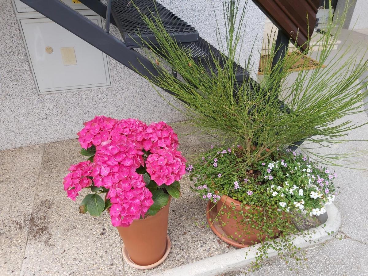 Apartma Arnez Apartment