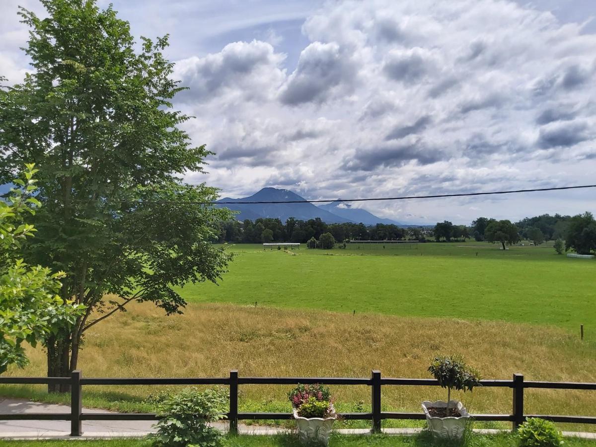 Apartma Arnez Apartment