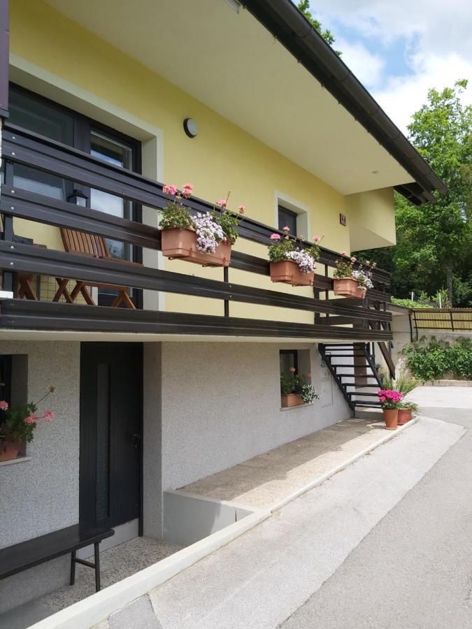 Apartma Arnez Apartment