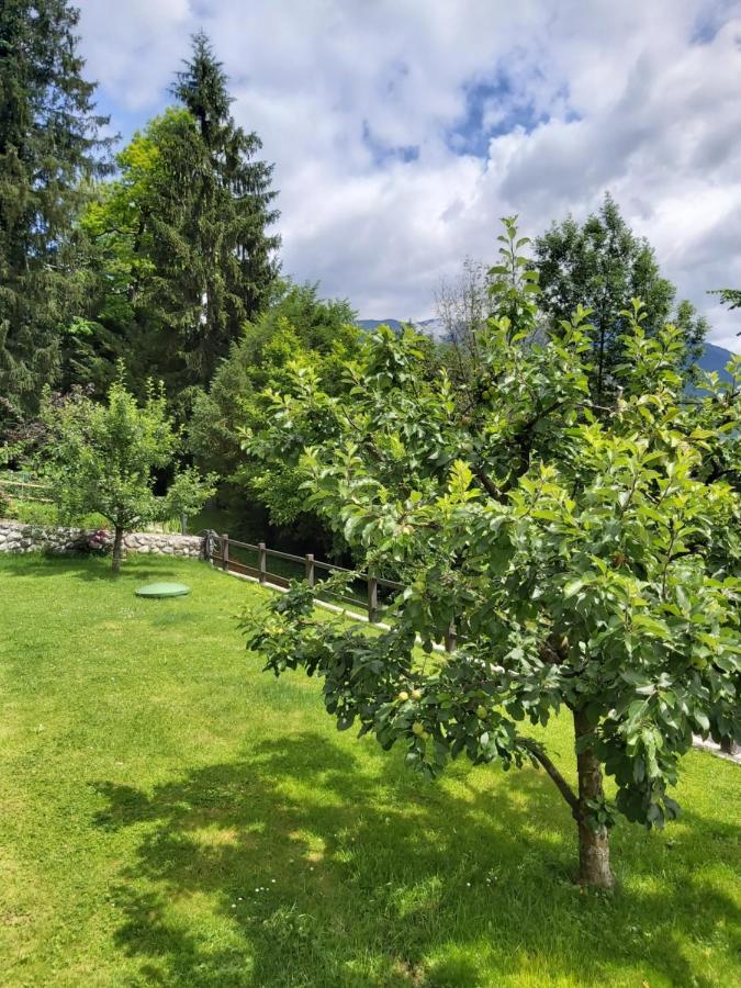 Apartma Arnez Apartment *