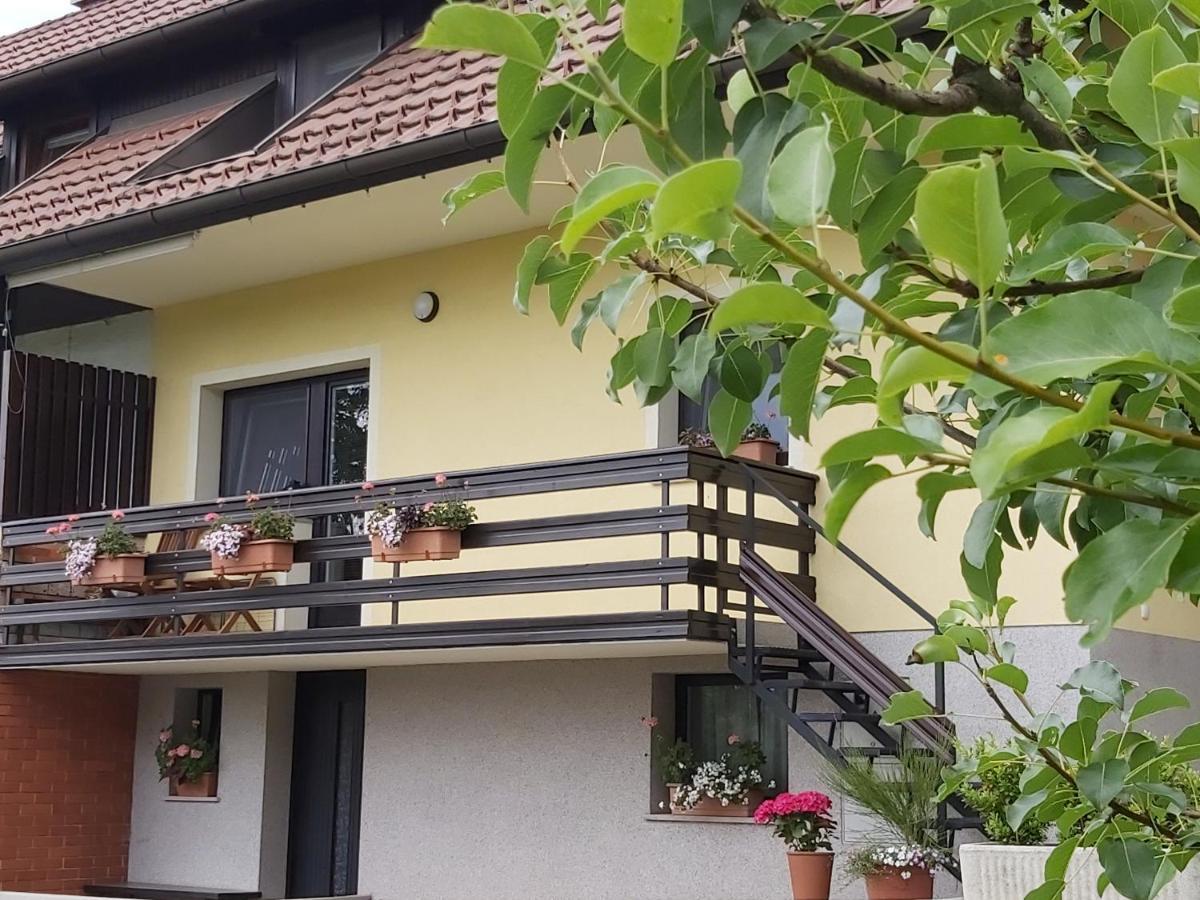 Apartma Arnez *